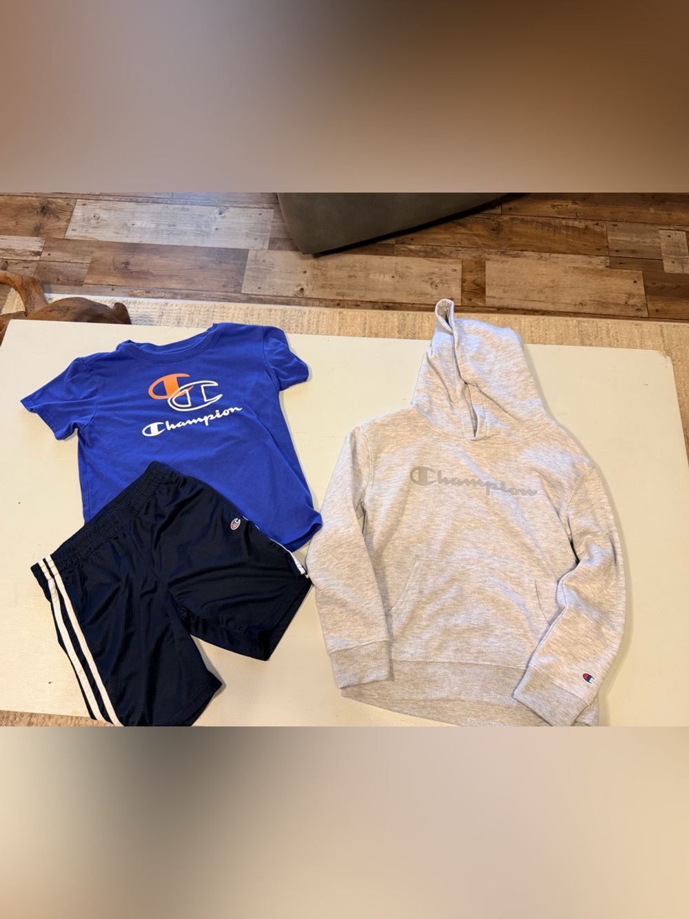 Champion Kids Sweatshirt and Short Set